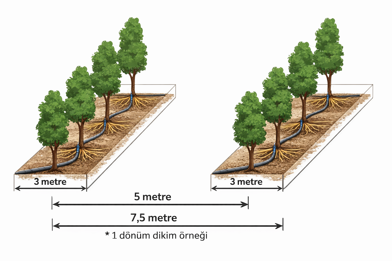 Badem Bahçesi Planı ve Dikim Aralıkları